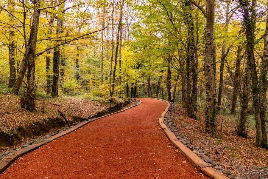 Naturwunder in Istanbul